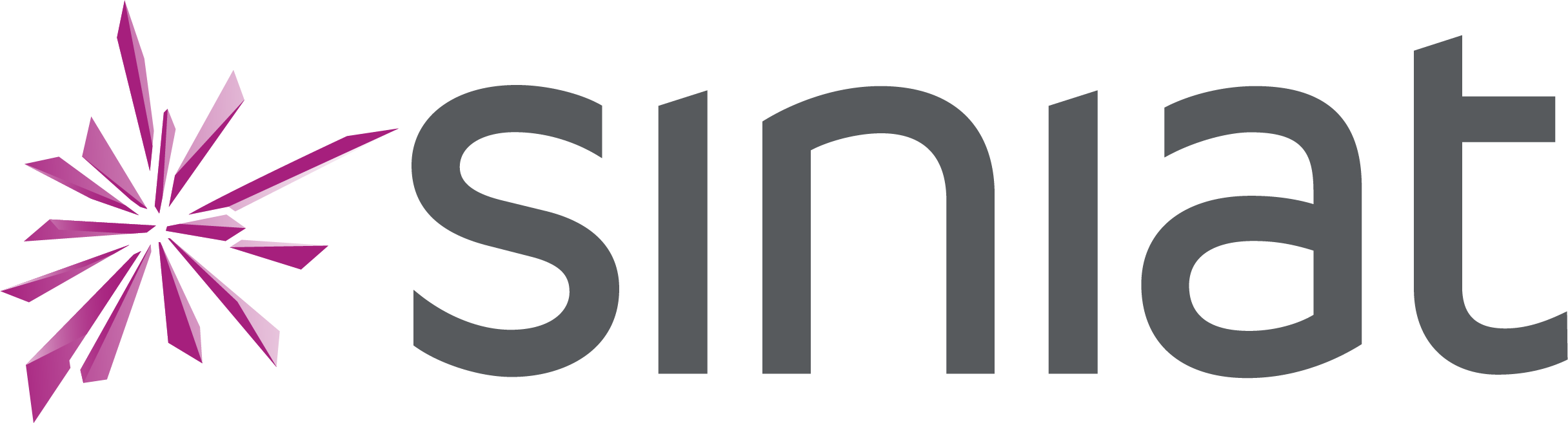 logo siniat